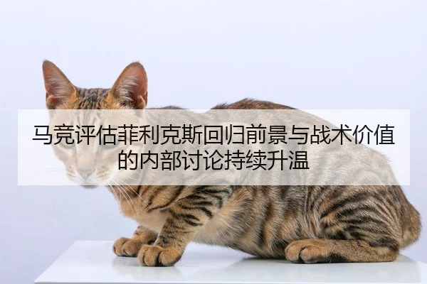 马竞评估菲利克斯回归前景与战术价值的内部讨论持续升温